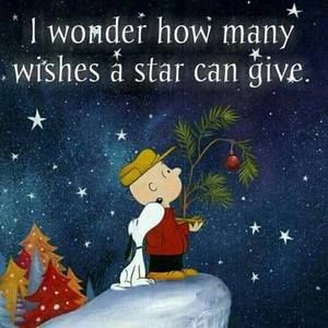 Meet your Posher, Pam